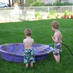 IMG_7614 IMG_7614