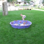 IMG_7618 IMG_7618