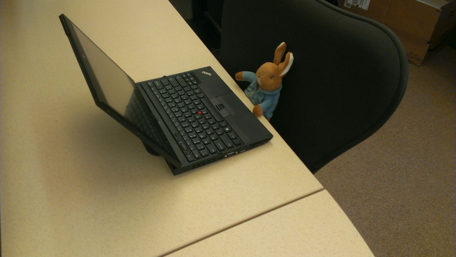 IMAG1464.jpg image